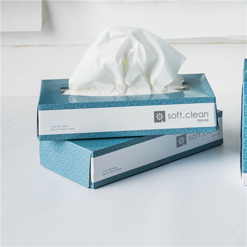 Soft Clean Deluxe Tissues (1)